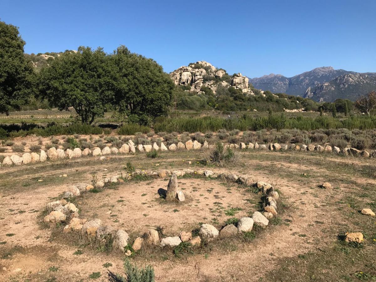 Villas Valinco San Martinu Corse du Sud - vue et proche mer - piscines privées Olmeto  Esterno foto