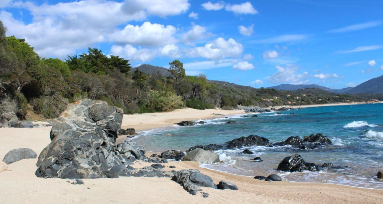 Villas Valinco San Martinu Corse du Sud - vue et proche mer - piscines privées Olmeto  Esterno foto