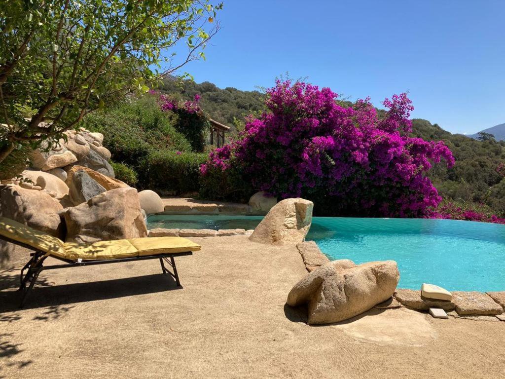 Villas Valinco San Martinu Corse du Sud - vue et proche mer - piscines privées Olmeto  Esterno foto